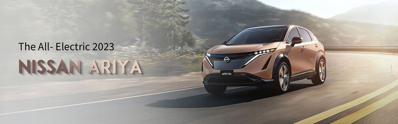 calidad El coche eléctrico Dongfeng fábrica