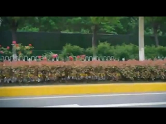 Dfs 5 Puertas 5 Asientos Eléctrico SUV Honda ns1 Nuevos Coches Eléctricos Dirección de la Mano Izquierda FWD Coche Eléctrico EV Coche